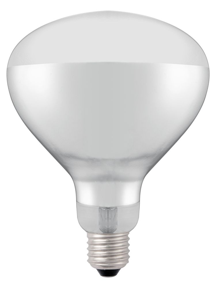 Infrarood warmtelamp, HENDI, Wit, 230V/250W, ⌀125x(H)170mm