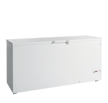 FR605 SL  Diepvrieskist
