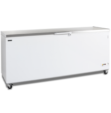 CF700S SL  Diepvrieskist
