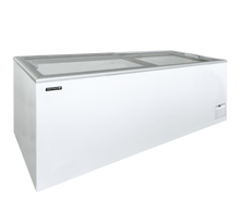 IDA600-W1  Vrieskast consumptie-ijs