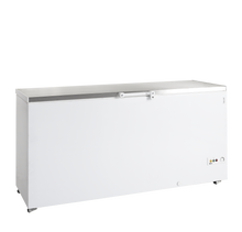 FR605S SL  Diepvrieskist